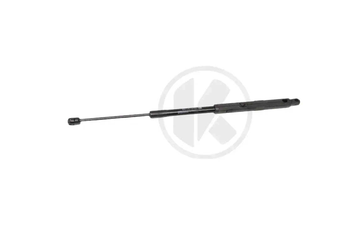 PNEUMATIC SPRING